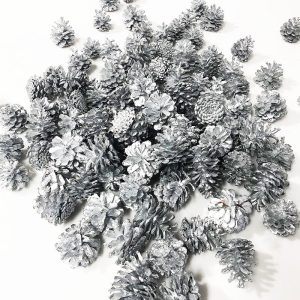 Pinecones SilverLake